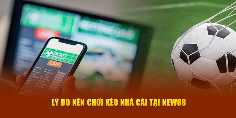 Lý do nên chơi kèo nhà cái tại New88
